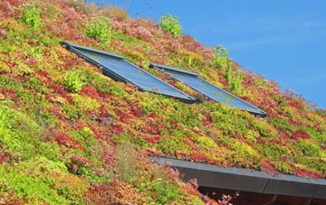 St Anns living roof systems